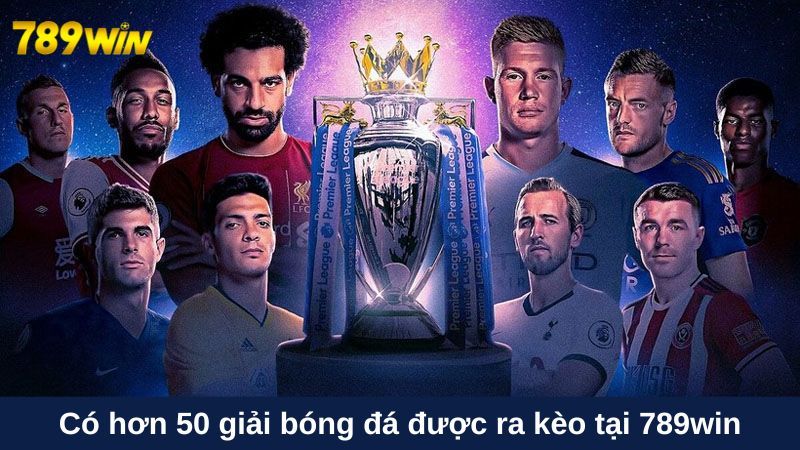Cá độ bóng đá 789win: Bắt kèo thơm với +50 giải đấu lớn 2 Có hơn 50 giải bóng đá được ra kèo tại 789win