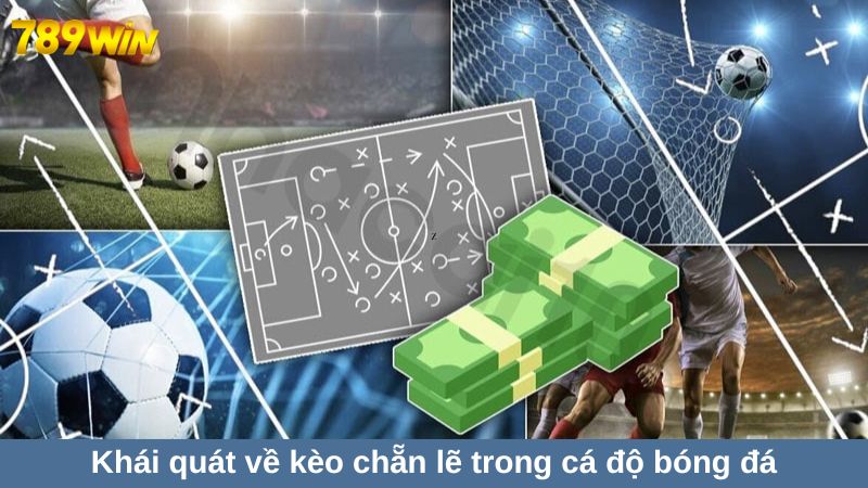 Bí kíp cược kèo chẵn lẻ tại 789win trăm trận trăm thắng 1 Khái quát về kèo chẵn lẽ trong cá độ bóng đá trực tuyến